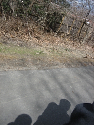 shadows.jpg