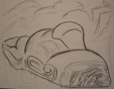 A view like a bird would have