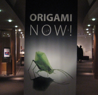 the exhibit