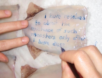 Quotes from Twenty Thousand Leagues Under the Sea