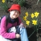 Daffodil days