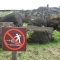 Do not walk on the moai Do not walk on the moai