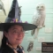 Owls