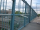 after the rain.jpg