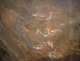 Disappearing paintings