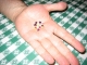 A handful of particles