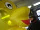 Quack quack