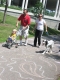 kids and dogs.jpg