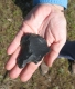 Artifacts abound, but not as much as they used to