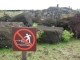 Do not walk on the moai