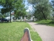 the park.jpg