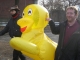 Everyone needs a duck