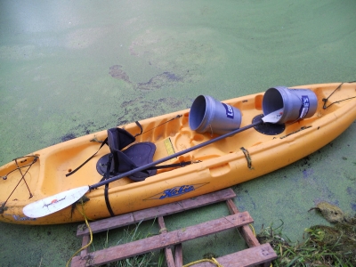 pond 003.jpg