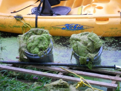 pond 008.jpg