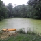 pond 004.jpg pond 004.jpg