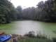 pond 002.jpg