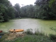 pond 004.jpg