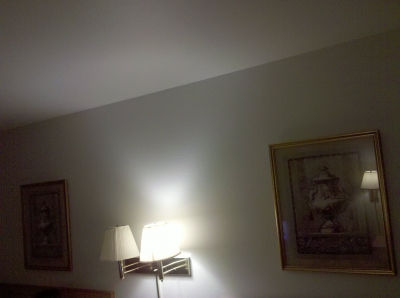 Our Ungallery, replete with American Kitsch