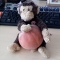 Monkey steals peach!