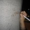 Uber pen-tree skills.