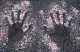 main_hands15845.jpg