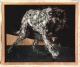 main_hughesdog69328.jpg