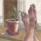 main_plant-square67205.jpg