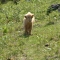 DSCF0406.JPG