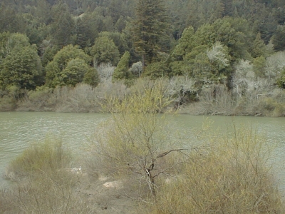 march_river.jpg