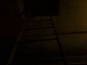 ladder.jpg