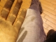 ragged.jpg