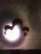 urban clover.jpg