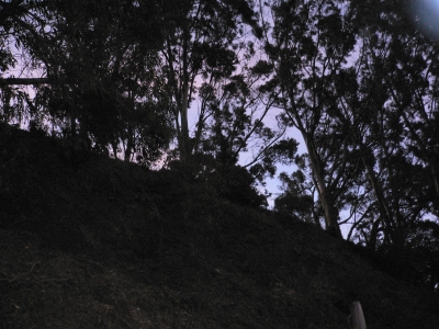 good thing i found a path, i was gonna scale the side of this mountain