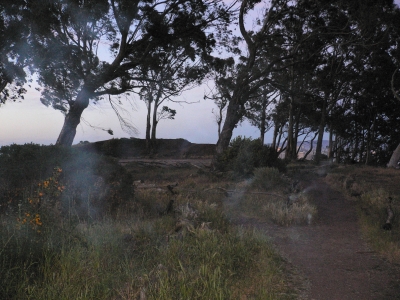atop of the hill looking for 'between a tree and a bush'