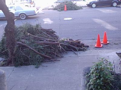 Picture 256.jpg