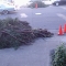 Picture 256.jpg