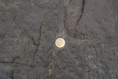 Bench Marker at Park