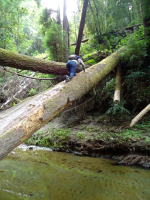 Climbing