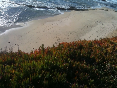 The beach below.