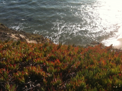 The water below.