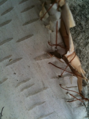 Close up of the binding