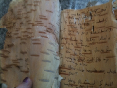 The inside of the cover, and the first page