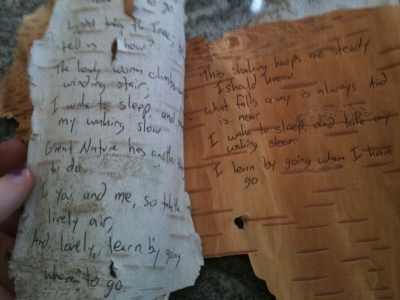 Second and third pages