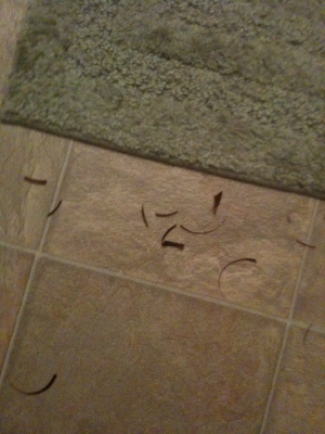 Hair clippings