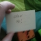 The reverse of the note