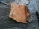 The raw material