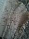 The cover