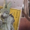 moldy fun bunny