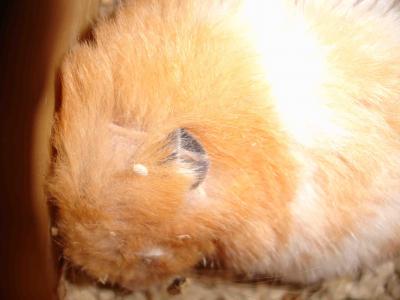 close-up