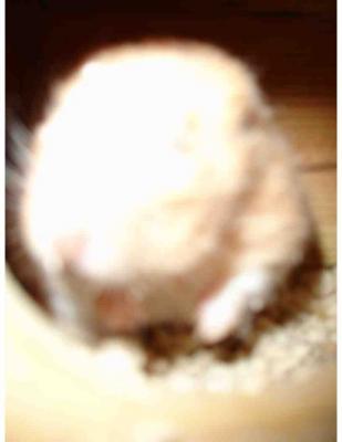 extreme close-up